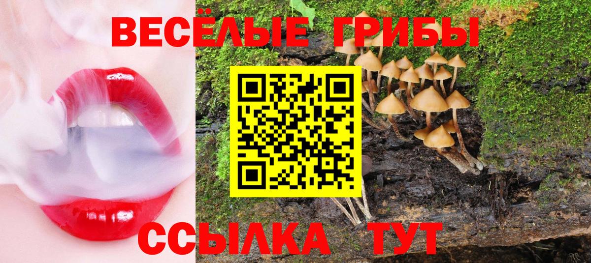 Галлюциногенные грибы прущие грибы  где можно купить наркотик  Лесозаводск  Псилоцибиновые грибы Cubensis  Вход с VPN 